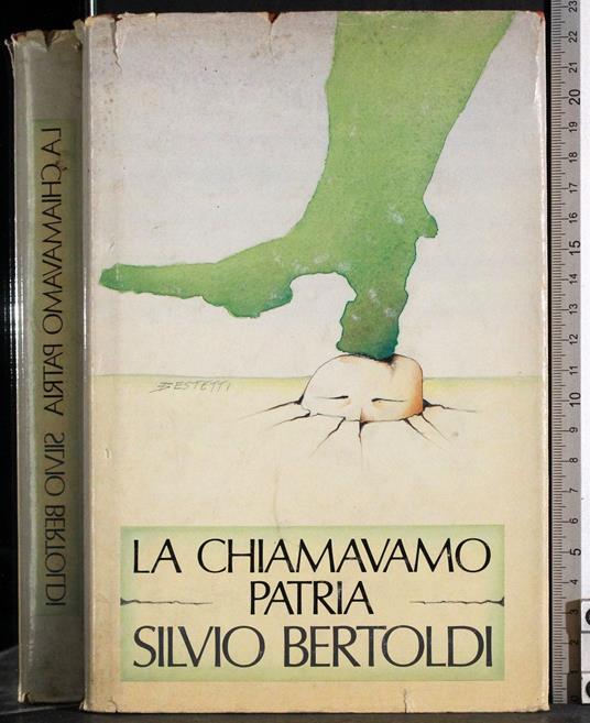 chiamavano patria - Silvio Bertoldi - copertina
