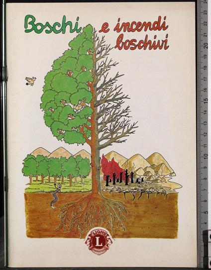 Boschi e incendi boschivi - G. Valerio Catullo - copertina