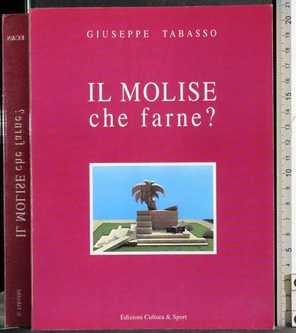 Il Molise che farne? - Giuseppe Tabasso - copertina