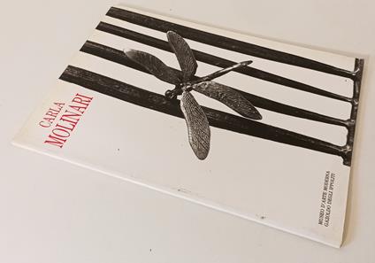 Carla Molinari Mostra Antologica Catalogo Opere Museo Gazoldo - copertina