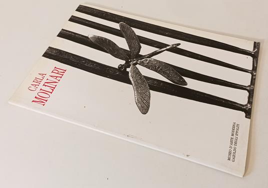 Carla Molinari Mostra Antologica Catalogo Opere Museo Gazoldo - copertina