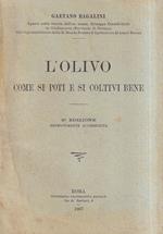 L' Olivo. Come si poti e si coltivi bene