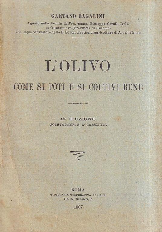 L' Olivo. Come si poti e si coltivi bene - copertina