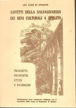 Aspetti Della Salvaguardia Dei Beni Culturali A Spoleto. Progetti, Proposte, Studi E Ricerche