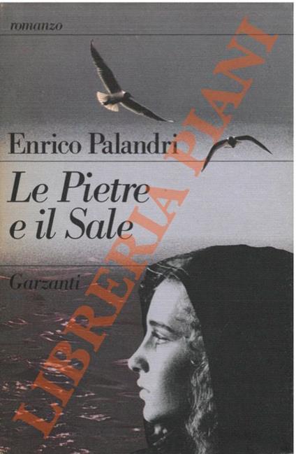 Le Pietre e il Sale - Enrico Palandri - copertina