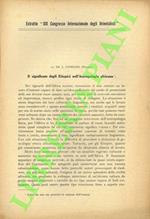 Il significato degli Etiopici nell'Antropologia africana.