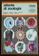 Atlante di zoologia (protozoi - poriferi - cnidari - ctenofori - platelminti - anellidi - artropodi)