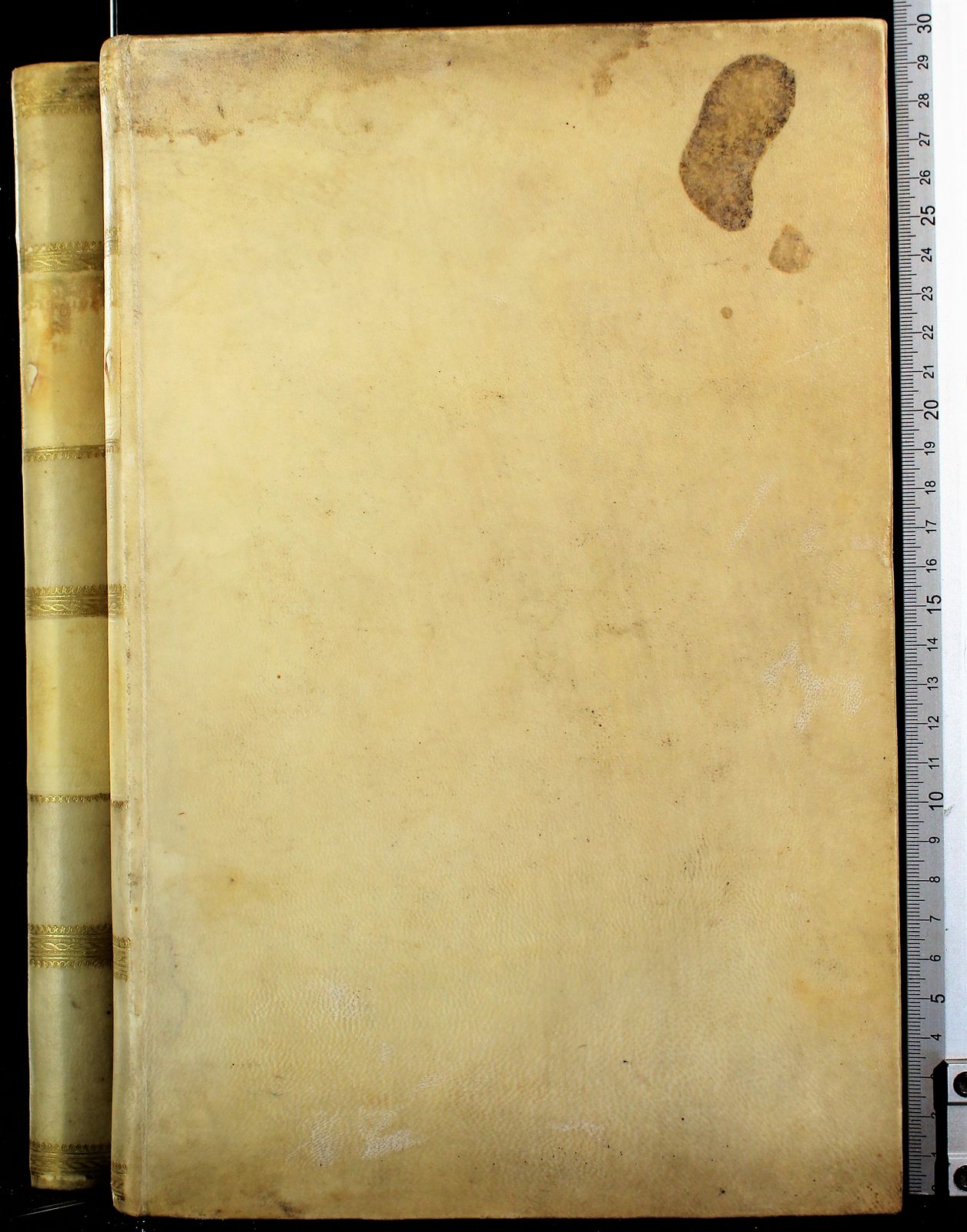 Cartarum