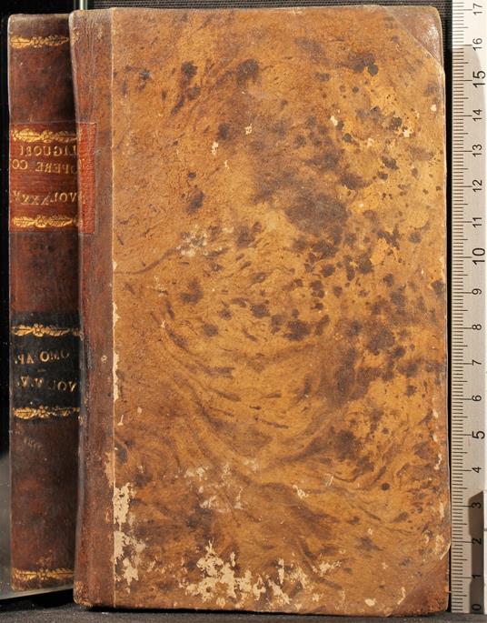 Homo Apostolicus. Vol V, Vi - copertina