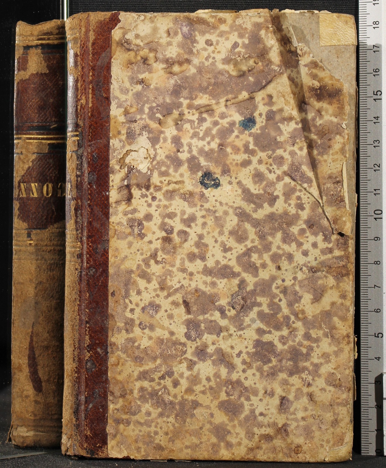 Cartarum