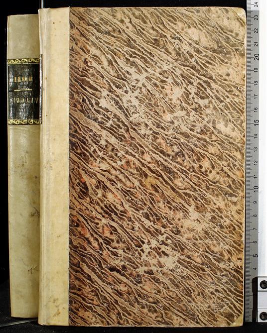 Viaggi D'Un Gentiluomo Irlandese In Cerca - Moore - copertina