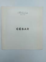 Cesar. Galleria d'arte San Luca, Bologna dal 26 febbraio 1972