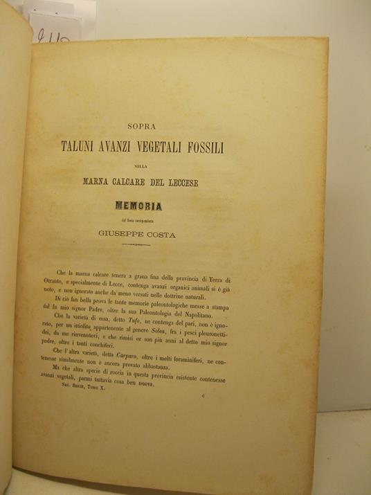Sopra taluni avanzi vegetali fossili nella marna calcare del leccese. Memoria - Giuseppe Costa - copertina