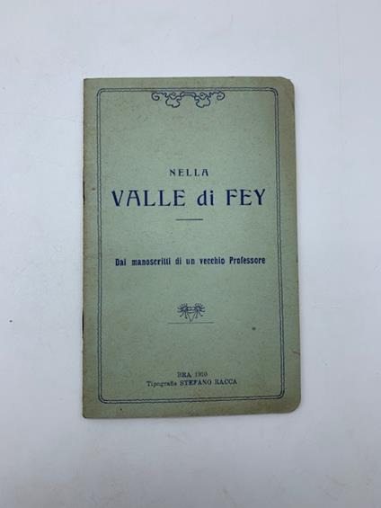 Nella valle di Fey. Dai manoscritti di un vecchio professore - copertina