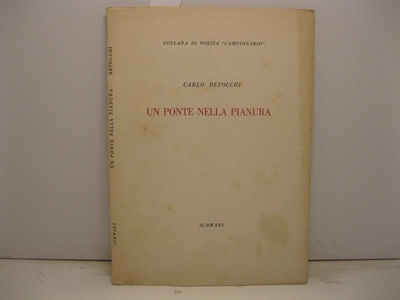 Un ponte nella pianura