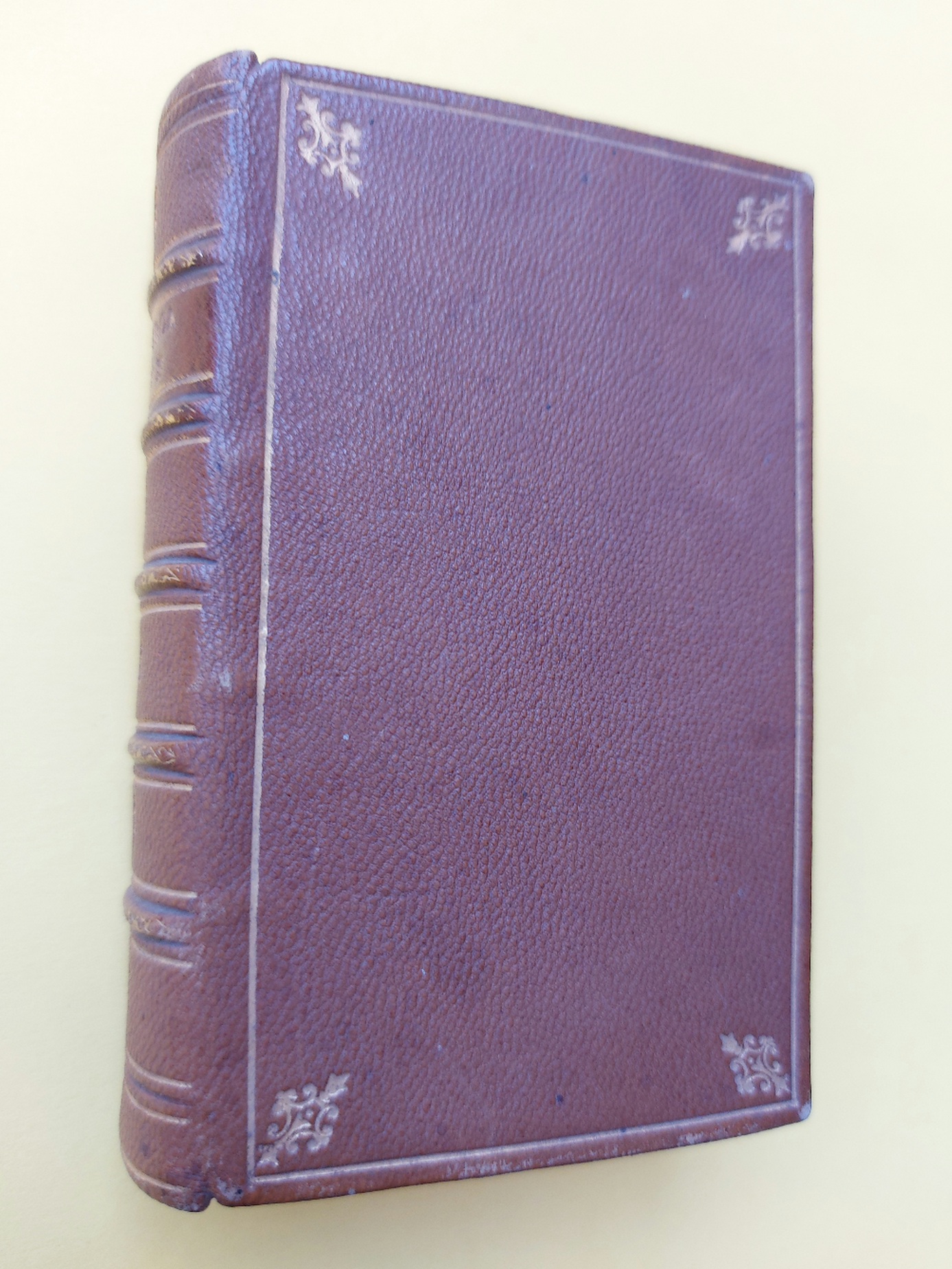 Libreria Coenobium