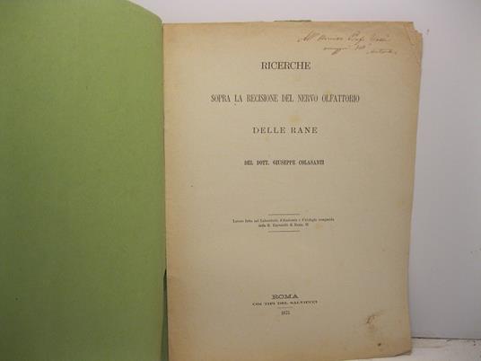 Ricerche sopra la recisione del nervo olfattorio delle rane - Giuseppe Colasanti - copertina