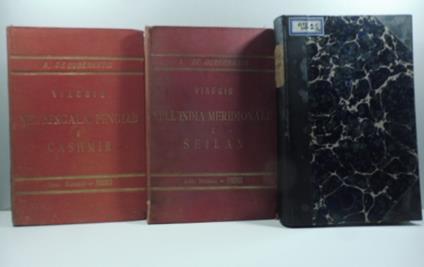 Peregrinazioni indiane. India Centrale India meridionale e Seilan Bengala, Pengiab e Cashmir - Angelo De Gubernatis - copertina