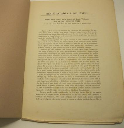 Lavori degli insetti nelle ligniti del Monte Vaticano. Nota del prof. Giuseppe Ponzi - Giuseppe Ponzi - copertina