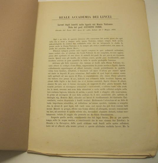 Lavori degli insetti nelle ligniti del Monte Vaticano. Nota del prof. Giuseppe Ponzi - Giuseppe Ponzi - copertina