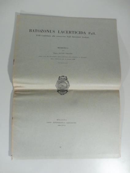 Batozonus lacerticida Pall. XVII Contributo alla conoscenza degli imenotteri aculeati - Guido Grandi - copertina