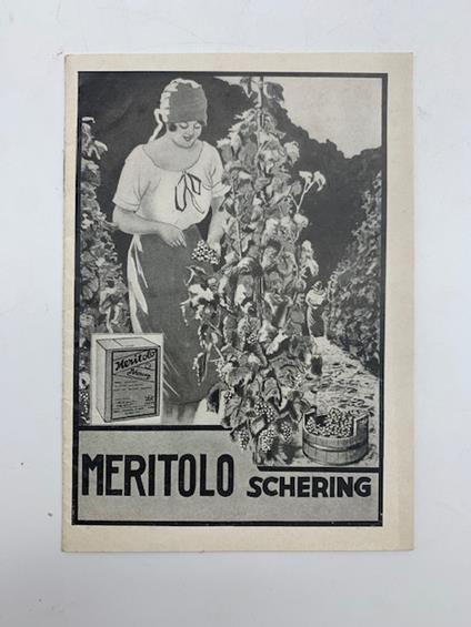 Meritolo insetticida arsenicale in polvere da spargersi col soffietto per la lotta contro gli insetti roditori delle piante - copertina