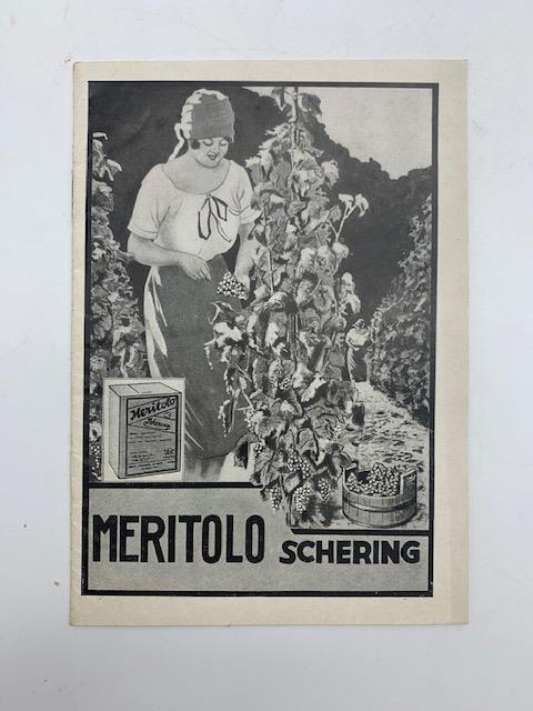 Meritolo insetticida arsenicale in polvere da spargersi col soffietto per la lotta contro gli insetti roditori delle piante - copertina