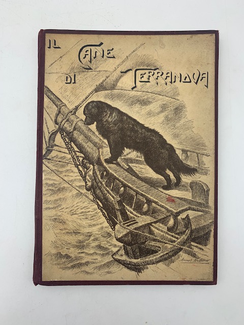 Libreria Coenobium