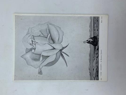 I migliori auguri di Buon Natale e Anno nuovo. Dai Fiori giganti di Romano Gazzera (con autografo) - copertina