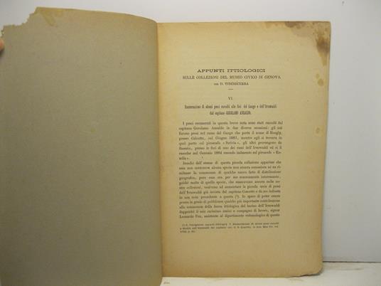 Appunti ittiologici sulle collezioni del Museo civico di Genova. VI. Enumerazione di alcuni pesci raccolti alle foci del Gange e dell'Irrawaddi del capitano Gerolamo Ansaldo - Decio Vinciguerra - copertina