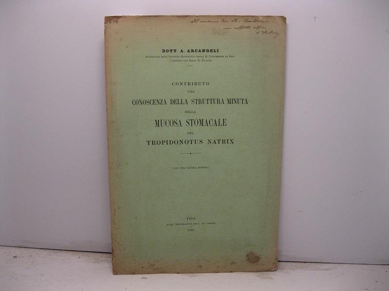 Libreria Coenobium