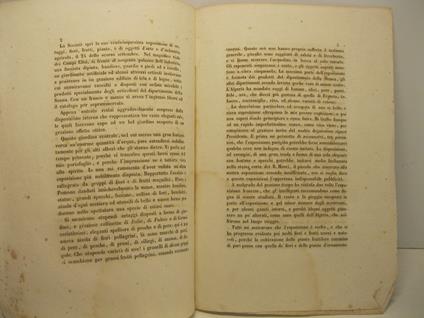 Cenno intorno all'esposizione annuale del 1853 della societa' d'orticoltura di Parigi e centrale della Francia - copertina