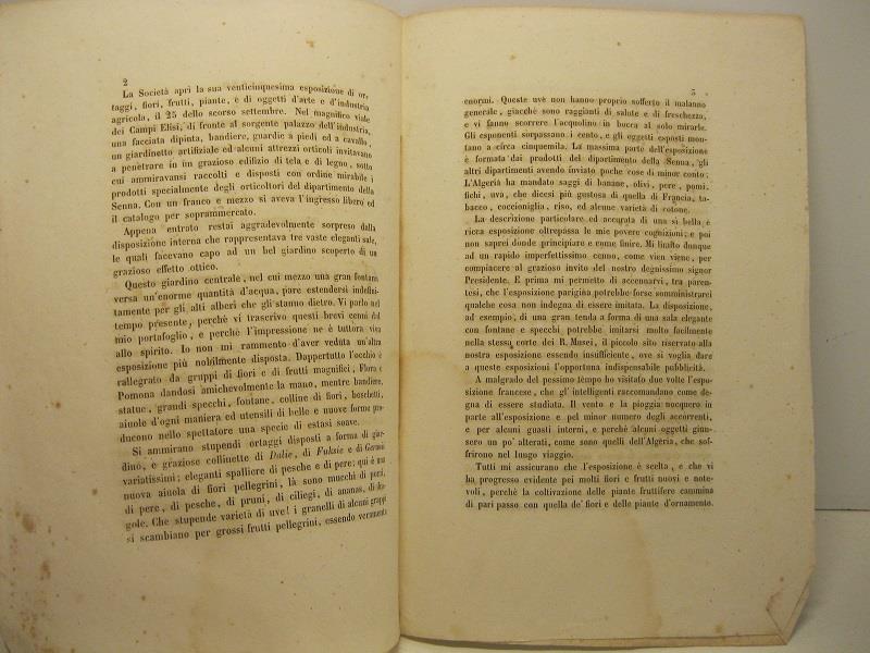 Libreria Coenobium