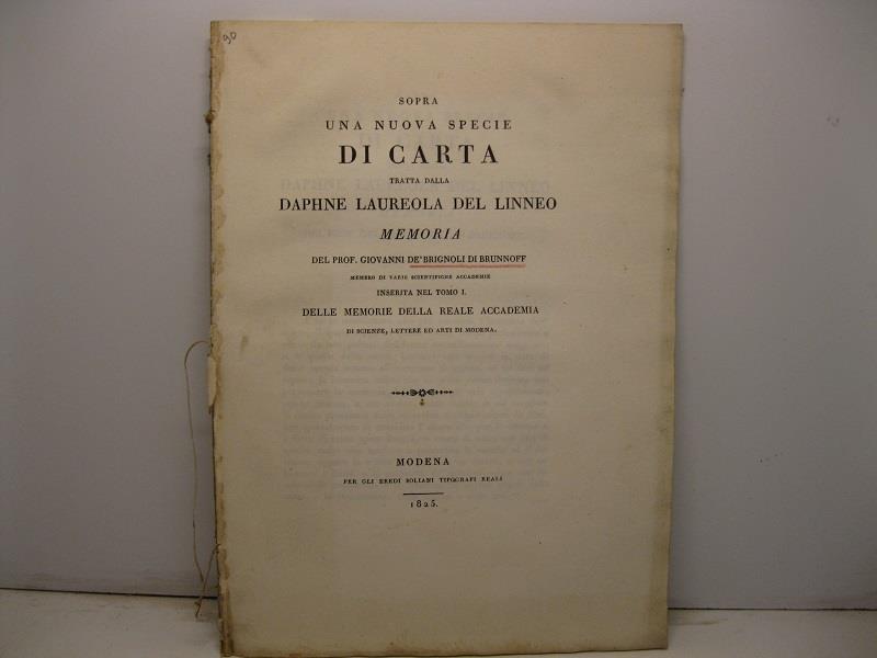 Libreria Coenobium