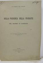 Sulla presenza della fuchsite nel marmo di Carrara