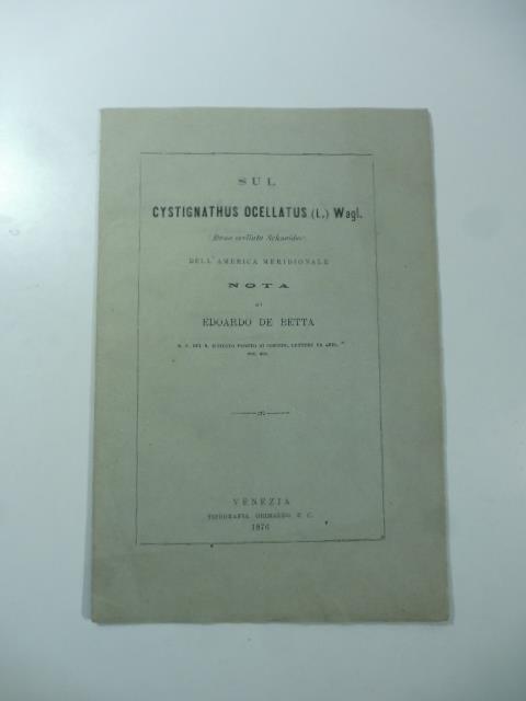 Sul cystignathus ocellatus (L.) Wagl. (rana ocellata Schneider) dell'America meridionale. Nota
