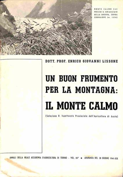Un buon frumento per la montagna: il monte Calmo - copertina