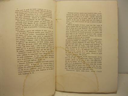Rapporto sulla educazione di bachi da seta di uova provenienti dalla Cina (letto nell'adunanza 22 maggio 1852) - copertina