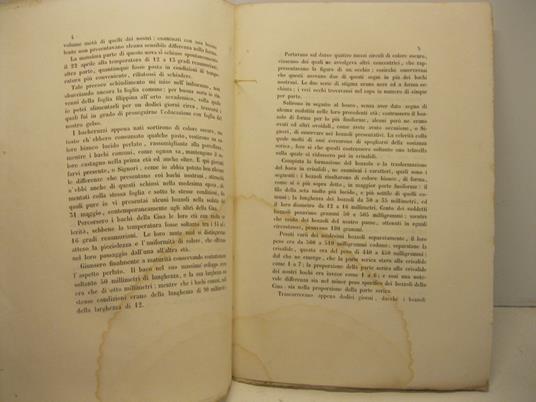 Rapporto sulla educazione di bachi da seta di uova provenienti dalla Cina (letto nell'adunanza 22 maggio 1852) - copertina