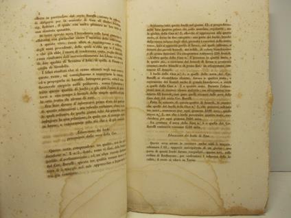 Relazione intorno all'educazione di varie razze di bachi da seta del bombyx mori (letta nell'adunanza 26 aprile 1856) - copertina