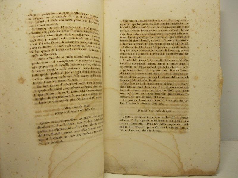 Relazione intorno all'educazione di varie razze di bachi da seta del bombyx mori (letta nell'adunanza 26 aprile 1856)