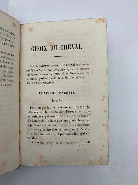 Libreria Coenobium