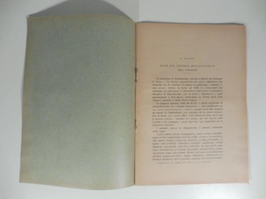 Note sul genere megalocolus - copertina