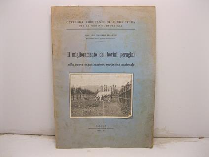 Cattedra ambulante di Agricoltura per la provincia di Perugia - Il miglioramento dei bovini perugini nella nuova organizzazione zootecnica nazionale - Estratto da L' Umbria Agricola Settembre 1933 - copertina