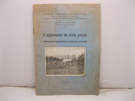 Cattedra ambulante di Agricoltura per la provincia di Perugia - Il miglioramento dei bovini perugini nella nuova organizzazione zootecnica nazionale - Estratto da L' Umbria Agricola Settembre 1933 - copertina