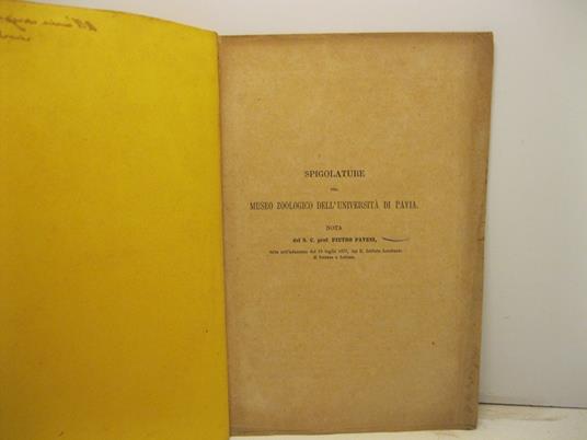 Spigolature nel Muzeo zoologico dell'Universita' di Pavia. Nota letta all'adunanza del 19 luglio 1877 del R. Istituto Lombardo di Scienze e lettere - copertina