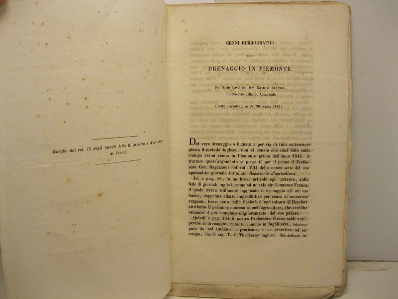 Libreria Coenobium