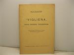 Vigliena. Nuove ricerche topografiche
