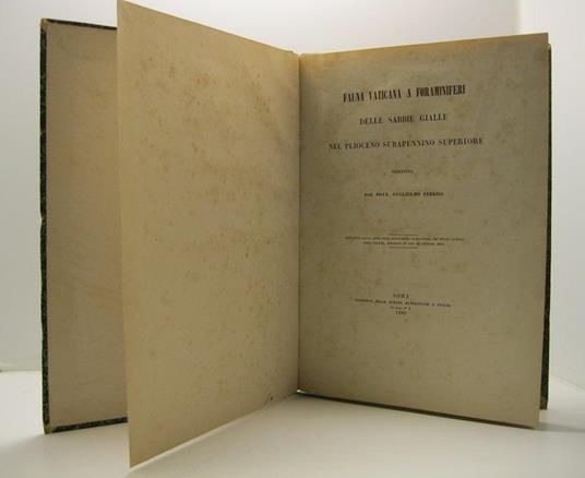 Fauna Vaticana a foraminiferi delle sabbie gialle nel plioceno subapennino superiore descritta dal dott. Guglielmo Terrigi - Estr. dagli atti dell'Accademia Pontificia de' nuovi Lincei Anno XXXIII, sessione IIa del 25 gen. 1880 - copertina