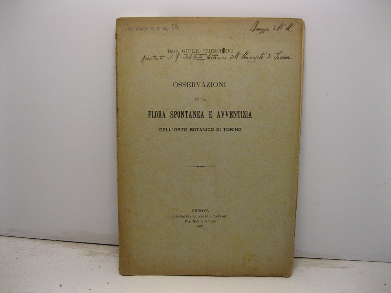 Libreria Coenobium